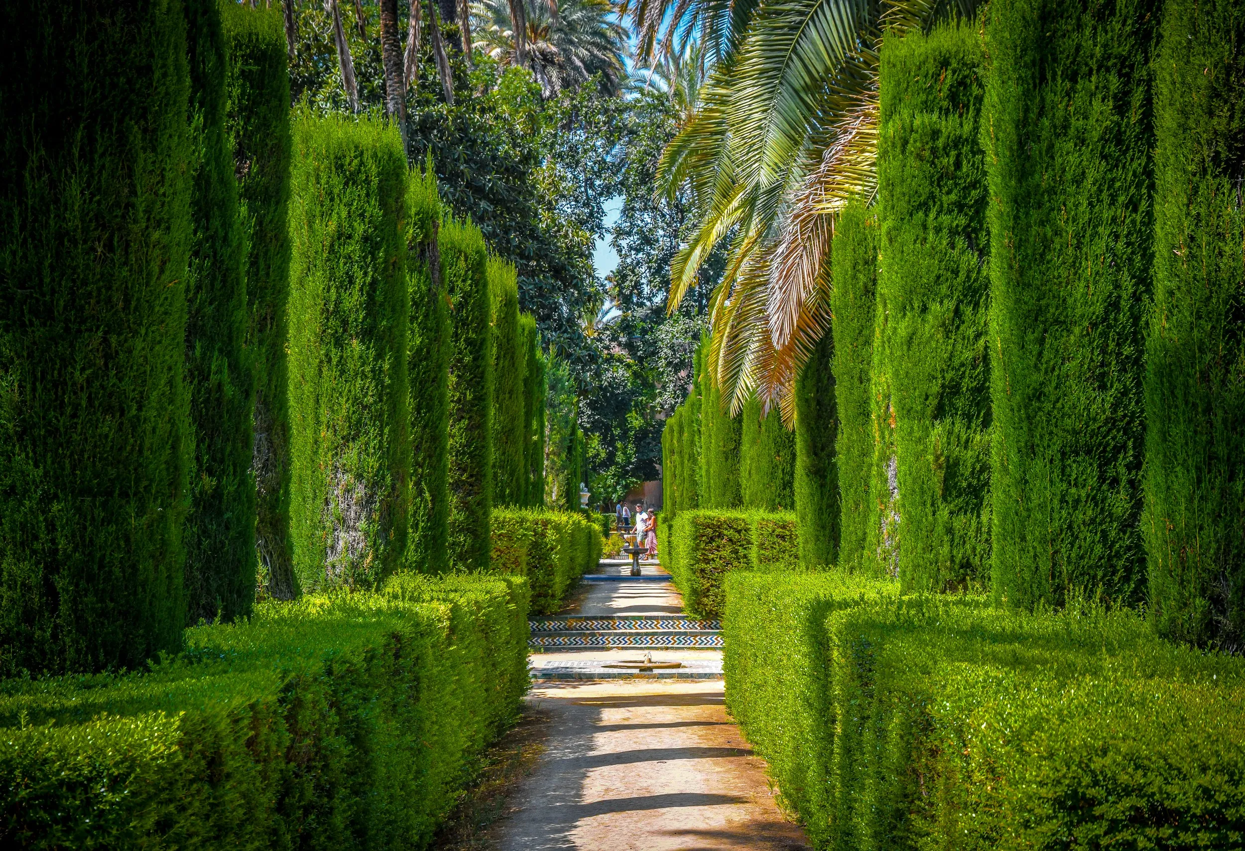 Jardinier Marrakech - entretien de jardin